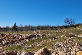 Prodaja građevinskog zemljišta Starigrad 10624 m2 1. red do Mora, Starigrad, Terreno