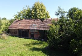 Kuća prodaja KRIŽ na parceli od 15440 m2 u građevinskoj zoni, Križ, Famiglia