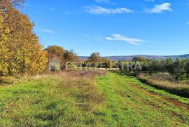 Istra, Rakalj - Veliko građevinsko-poljoprivredno zemljište 8620 m2, Marčana, Tierra