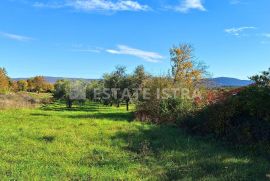 Istra, Rakalj - Veliko građevinsko-poljoprivredno zemljište 8620 m2, Marčana, Tierra