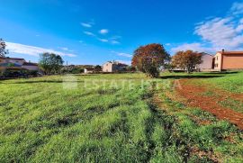 Istra, Rakalj - Veliko građevinsko-poljoprivredno zemljište 8620 m2, Marčana, Tierra