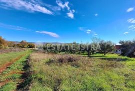 Istra, Rakalj - Veliko građevinsko-poljoprivredno zemljište 8620 m2, Marčana, Tierra