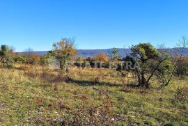 Istra, Rakalj - građevinsko zemljište 1005 m2 sa pogledom, Marčana, Terra