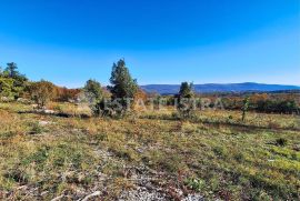 Istra, Rakalj - građevinsko zemljište 1005 m2 sa pogledom, Marčana, Terra