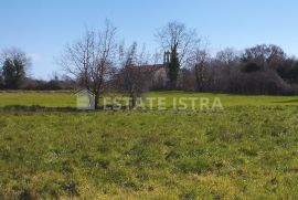 Na prodaju poljoprivredno zemljište 6517m2, na potezu od pulskog aerodroma prema Valturi., Ližnjan, Land