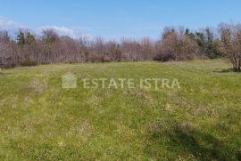 Na prodaju poljoprivredno zemljište 6517m2, na potezu od pulskog aerodroma prema Valturi., Ližnjan, Land