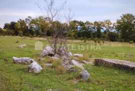 Prodaju se tri poljoprivredna zemljišta u Peruškima, Marčana, Land