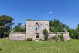 Kamena kuća za renovaciju na čak 33099 m2, Vodnjan, Σπίτι