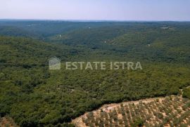 Poljoprivredno zemljište 77 321 m2 u blizini Marčane, Marčana, Land