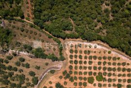 Poljoprivredno zemljište 77 321 m2 u blizini Marčane, Marčana, Land