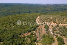 Poljoprivredno zemljište 77 321 m2 u blizini Marčane, Marčana, Land