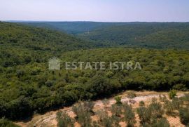 Poljoprivredno zemljište 77 321 m2 u blizini Marčane, Marčana, Land