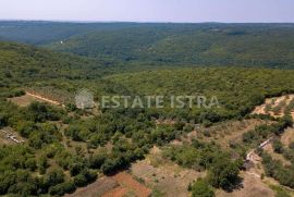 Poljoprivredno zemljište 77 321 m2 u blizini Marčane, Marčana, Land