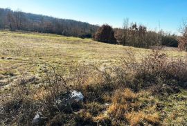 ISTRA, TINJAN - Građevinsko zemljište na rubu naselja, Tinjan, Land