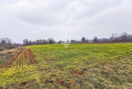 Građevinsko zemljište poslovne namjene u okolici Barbana!, Barban, Land