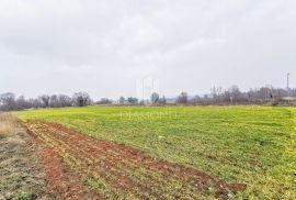 Građevinsko zemljište poslovne namjene u okolici Barbana!, Barban, Zemljište