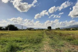 Poljoprivredno zemljište u Spužu, Podgorica, Terrain