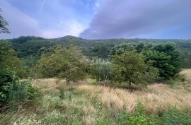 ISTRA, SOVINJAK - RUŠEVINA + ZEMLJIŠTE 57.356 m2, Buzet, Terreno