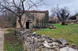 ISTRA, MOTOVUN, OKOLICA - Dvije kuće za adaptaciju s dvorištem, Motovun, Haus