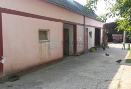 Kuća 200 m2 sa imanjem (5000 m2) Gundinci!, Gundinci, Famiglia