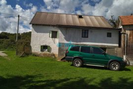 Brinje, seosko imanje sa kućom i 13580 m2 zemlje, Brinje, House