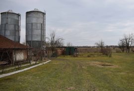 Obiteljska kuća s velikim zemljištem i uređenom okućnicom, Bjelovar - Okolica, Kuća