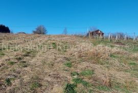 Vinograd s prekrasnim pogledom - Kašljavac, Šandrovac, Zemljište