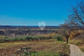 Buje! Prostrano zemljište sa panoramskim pogledom na more!, Buje, Земля