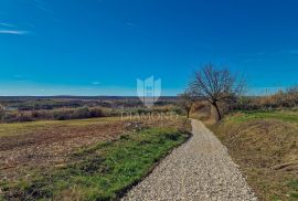 Buje! Predivno zemljište sa panoramskim pogledom na more!, Buje, Terrain