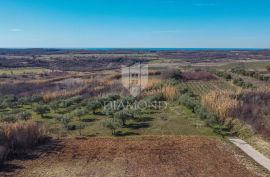 Buje! Predivno zemljište sa panoramskim pogledom na more!, Buje, Terrain