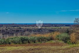 Buje! Predivno zemljište sa panoramskim pogledom na more!, Buje, Terrain