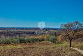 Buje! Predivno zemljište sa panoramskim pogledom na more!, Buje, Terrain