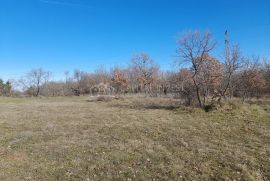 Građevinsko zemljište Cokuni, Istra, Marčana, أرض