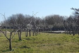 Zemljište sa građevinskom dozvolom Bratulići, Istra, Marčana, Zemljište