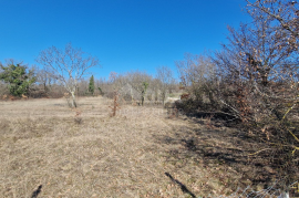 ISTRA, ŽMINJ - Građevinsko zemljište od 900 m2 + poljoprivredno zemljište od 3897 m2, Žminj, Terreno