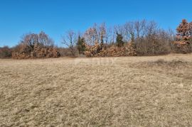 ISTRA, ŽMINJ - Građevinsko zemljište na rubu naselja, Žminj, Terrain