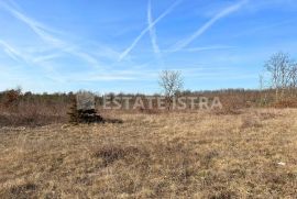 Na prodaju poljoprivredno zemljište površine čak 10005 m2, Svetvinčenat, Tierra