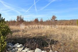 Na prodaju poljoprivredno zemljište površine čak 10005 m2, Svetvinčenat, Tierra