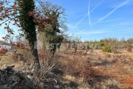 Prodaje se poljoprivredno zemljište u Bonašinima, Svetvinčenat, Tierra