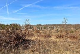 Prodaje se poljoprivredno zemljište u Bonašinima, Svetvinčenat, Tierra