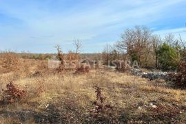 Prodaje se poljoprivredno zemljište u Bonašinima, Svetvinčenat, Tierra