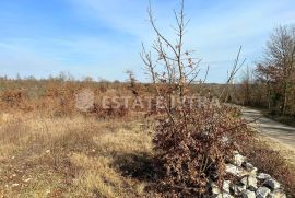 Prodaje se poljoprivredno zemljište u Bonašinima, Svetvinčenat, Tierra