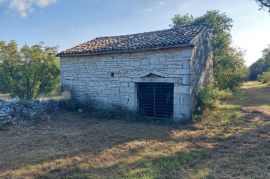 Odlična prilika ,prodajemo cijelo brdo s pogledom na more i s malom kamenom kućicom u blizini Rovinja, Rovinj, بيت