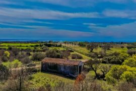 ISTRA, BALE - Kamena kuća na jedinstvenoj lokaciji, Bale, House