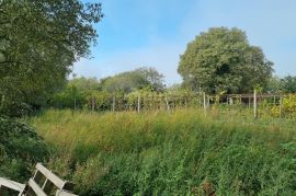 ISTRA,VALTURA - Građevinsko zemljište s objektom, Ližnjan, Land