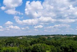 ISTRA, TINJAN - Prostrano građevinsko zemljište, Tinjan, Land