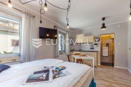 Rijeka, Centar, novouređen dvoetaži stan NKP 125 m2 s četiri apartmana, Rijeka, Daire