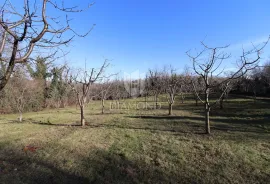 Građevinsko-poljoprivredno zemljište u okolici Vižinade, Poreč, Land