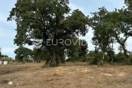 Istra, Barbariga - građevinsko zemljište s pogledom na more, Vodnjan, Terra