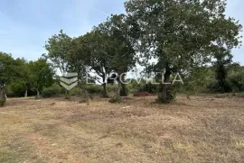 Istra, Barbariga - građevinsko zemljište s pogledom na more, Vodnjan, Terra